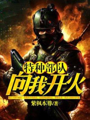 电视剧特种部队向我开火