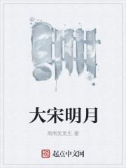 大宋明月txt精校版