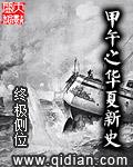 甲午之华夏新史好看吗