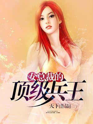 女总裁的顶级高手叶枫