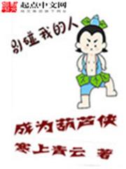 葫芦侠工作