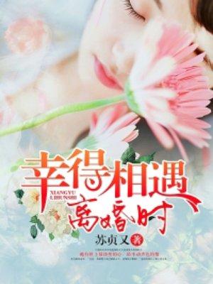 幸得相遇离婚时拍的电视剧
