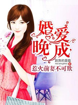 惹火前妻不可欺 跳舞的磨菇