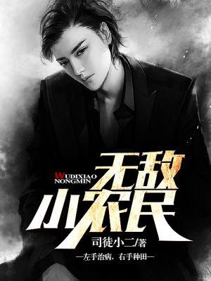 无敌小农民共多少章节?