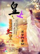 皇上宠妃