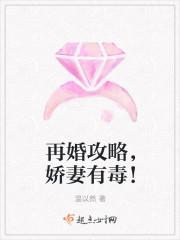 再婚攻略视频4