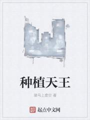 天王草图片及价格