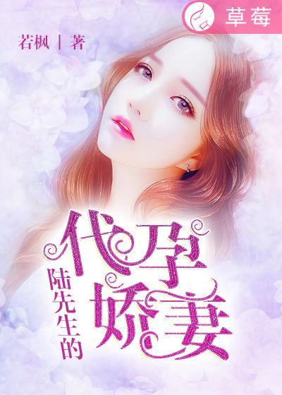 陆先生的宠婚免费阅读全文
