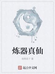 炼器真仙精校版txt