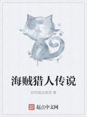 海贼王里的海贼猎人