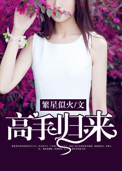 高手归来许言