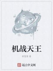 机战王视频解说