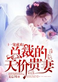 总裁的天价贵妻 百度