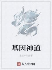基因神道全本