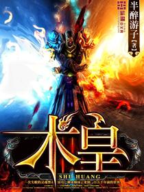 术皇兿觉属于什么档次
