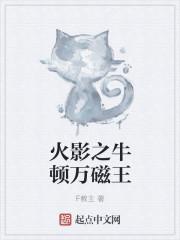 火影世界里的万磁王