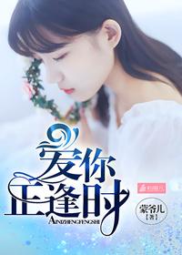 府你正逢时短剧免费观看全集