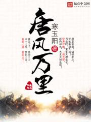 万里风烟是什么意思