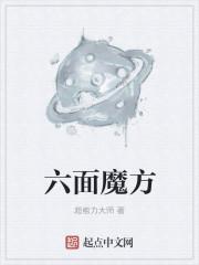 六面魔方怎么还原慢动作教程