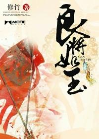 良将如玉没完结吗