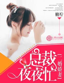 二婚娇妻总裁夜夜忙新书包网
