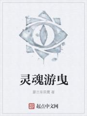 灵魂的游荡
