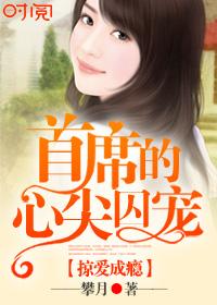 首席掠爱老婆继续结局