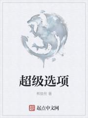 超级启动选项