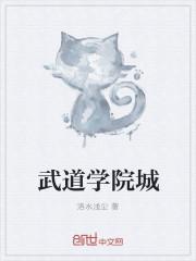 武道学院林宇
