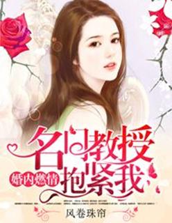 婚内燃情名门教授抱紧我免费阅读
