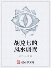杨公风水胡兑七视频