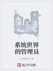 系统管理员的功能及权限