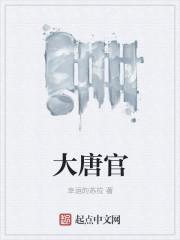 大唐官府门派特色