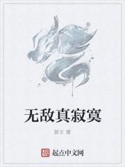 无敌真寂寞笔趣阁TXT