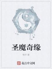 圣魔girl标准版攻略