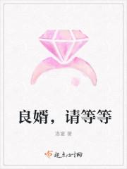良婿全文免费阅读全文