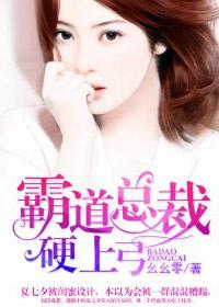 霸道总裁硬上弓有声书
