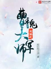书名三国之曹魏第一少主