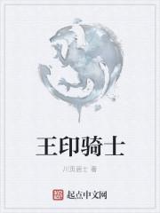 神印王座骑士的技能