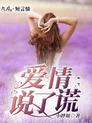 爱情说了谎顾晚晴