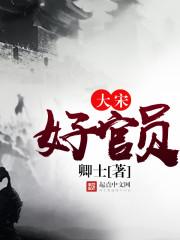 宋朝好官