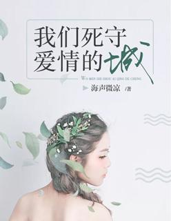 我们死守爱情的城txt