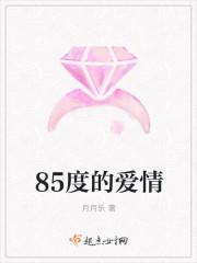 通往爱情指南85