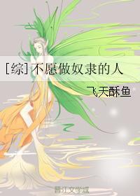 综不愿做奴隶的人by