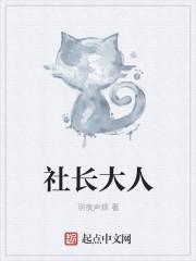 社长的规则