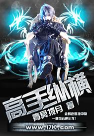 高手系列