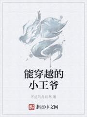 穿越金国小王爷免费阅读