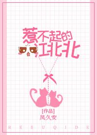 惹不起的江北北TXT