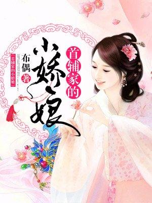 首辅家的小娇娘何念筱