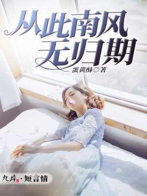 自此南风无归期全文阅读